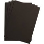1F Etival Color 160g 50x65cm noir