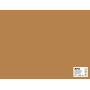 SACH CARTON 170G 50X65 25F NOISETTE