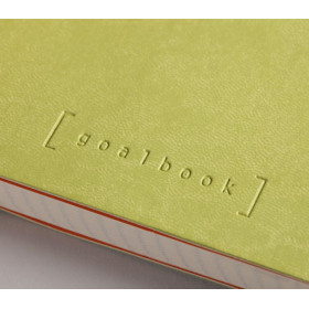 Rhodiarama Goalbook souple ANIS A5 240p dot papier blanc 90g