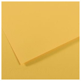 CAN FL MITEIN 50X65 160G J OR C31032S103