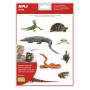 P.GOMMETES ENLREPTILES ET AMPHIBIENS 2FOB