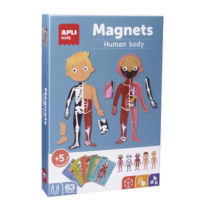 B MAGNETIC Etiquettes UE LE CORPS HUMAIN 63U