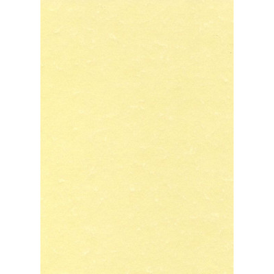 Pack 25 A3 165g. PARCHEMIN CHAMPAGNEOB
