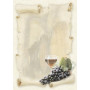 Pack 20 A4 Cellier 90g                 OB