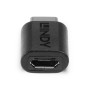LINDY Adaptateur USB 2.0 type C vers Micro-B