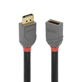 LINDY Rallonge DisplayPort 1.4 Anthra Line, 2m