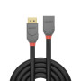 LINDY Rallonge DisplayPort 1.4 Anthra Line, 2m