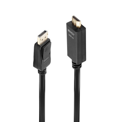 LINDY Câble adaptateur 0.5 m pour Display Port vers HDMI 4K30Hz