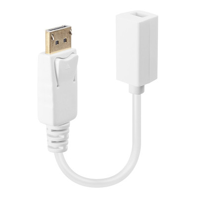 LINDY Câble adaptateur DP (DisplayPort) vers Mini DisplayPort femelle