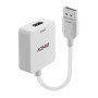 LINDY Convertisseur HDMI 18G vers DisplayPort 1.2