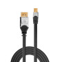 LINDY Câble DisplayPort vers Mini DisplayPort CROMO , 0.5m