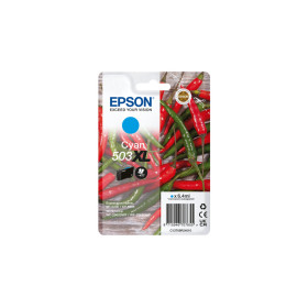 Epson c13t09r24010
