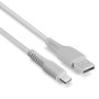 LINDY Câble USB Type A vers Lightning, Blanc, 0.5m