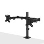 LINDY Support d'écran double fixe et ajustable - Noir