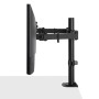 LINDY Support d'écran double fixe et ajustable - Noir