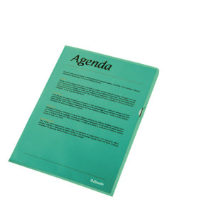 Esselte boîte de 100 pochettes-coin copy safe vert en polypropylène 11 100e