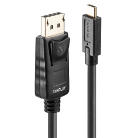 LINDY Câble adaptateur USB Type C vers DP 4K60 avec HDR, 10m