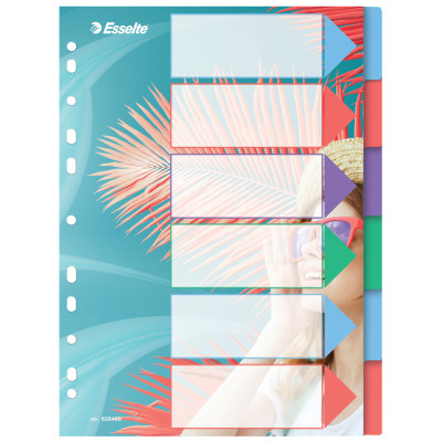 Intercalaire PP A4 6 Tabs COLOUR'BREEZE Esselte, Mulitcolore