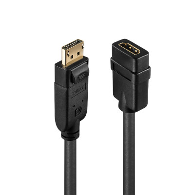 LINDY Convertisseur passif Display Port 1.2 vers HDMI 1.3