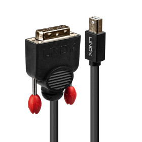 LINDY Câble adaptateur mini-port d'affichage vers DVI de 3 m