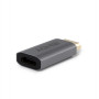 LINDY Convertisseur actif DisplayPort vers HDMI 8K60Hz