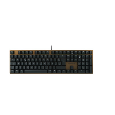 Clavier CHERRY KC 200 MX USB