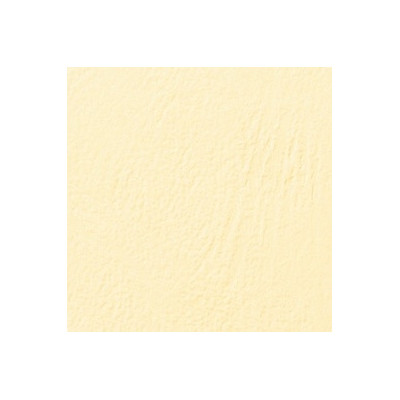 Couverture A4 grain cuir, Lot de 100, Ivoire