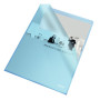 Esselte boîte de 100 pochettes-coin copy safe bleu en polypropylène 11 100e