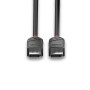 LINDY Câble DisplayPort 1.2, Black Line, 2m