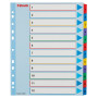 Intercalaire carton, A4+, 12 touches reinscriptible Esselte, Multicolore