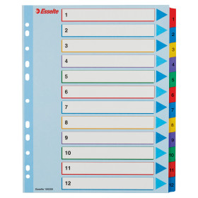 Intercalaire carton, A4+, 12 touches reinscriptible Esselte, Multicolore