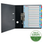 Intercalaire carton, A4+, 12 touches reinscriptible Esselte, Multicolore