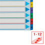 Intercalaire carton, A4+, 12 touches reinscriptible Esselte, Multicolore