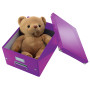 Format medium, leitz click & store wow leitz, violet