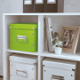 Format cube, format moyen, leitz click & store wow leitz, vert