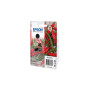 Epson c13t09r14010