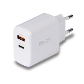 LINDY Chargeur GaN 65W USB Type A & C