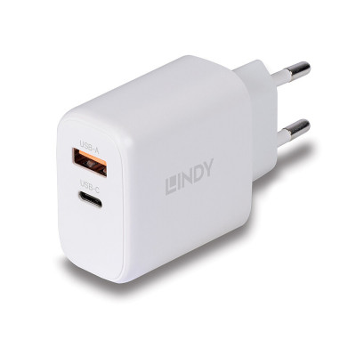 LINDY Chargeur GaN 65W USB Type A & C
