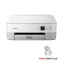 Canon imprimante multifonction pixma ts5351i