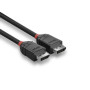 LINDY Câble DisplayPort 1.2, Black Line, 1.5m