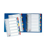 Intercalaire carton, a4, 6 touches esselte, multicolore