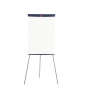 Paperboard Nobo Basic en acier laque