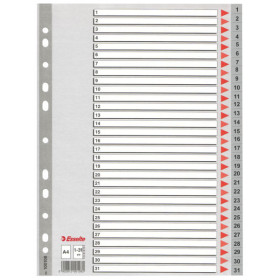Intercalaire pp, a4, 31 touches esselte, gris