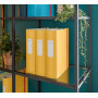 Classeur a levier Active Polyfoam dos 82mm COSY Leitz, Jaune