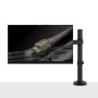LINDY Support d'affichage réglable simple - Noir