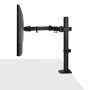 LINDY Support d'affichage réglable simple - Noir