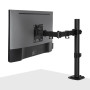 LINDY Support d'affichage réglable simple - Noir
