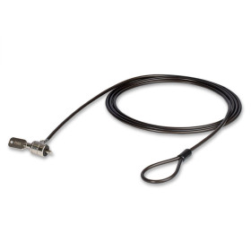LINDY Câble de sécurité pour ordinateur portable