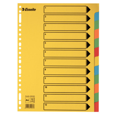 Intercalaire carton, A4, 12 touches Esselte, Multicolore