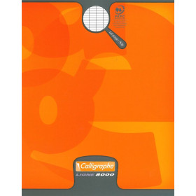 8000 PELLICULE, Cahier piqué 17x22 60p séyès 90g